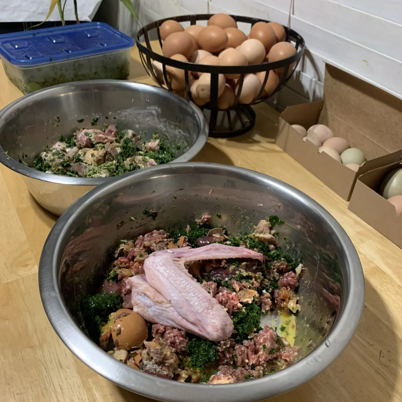 NRC Raw Feeding Meal Plans For Dogs - Image 5